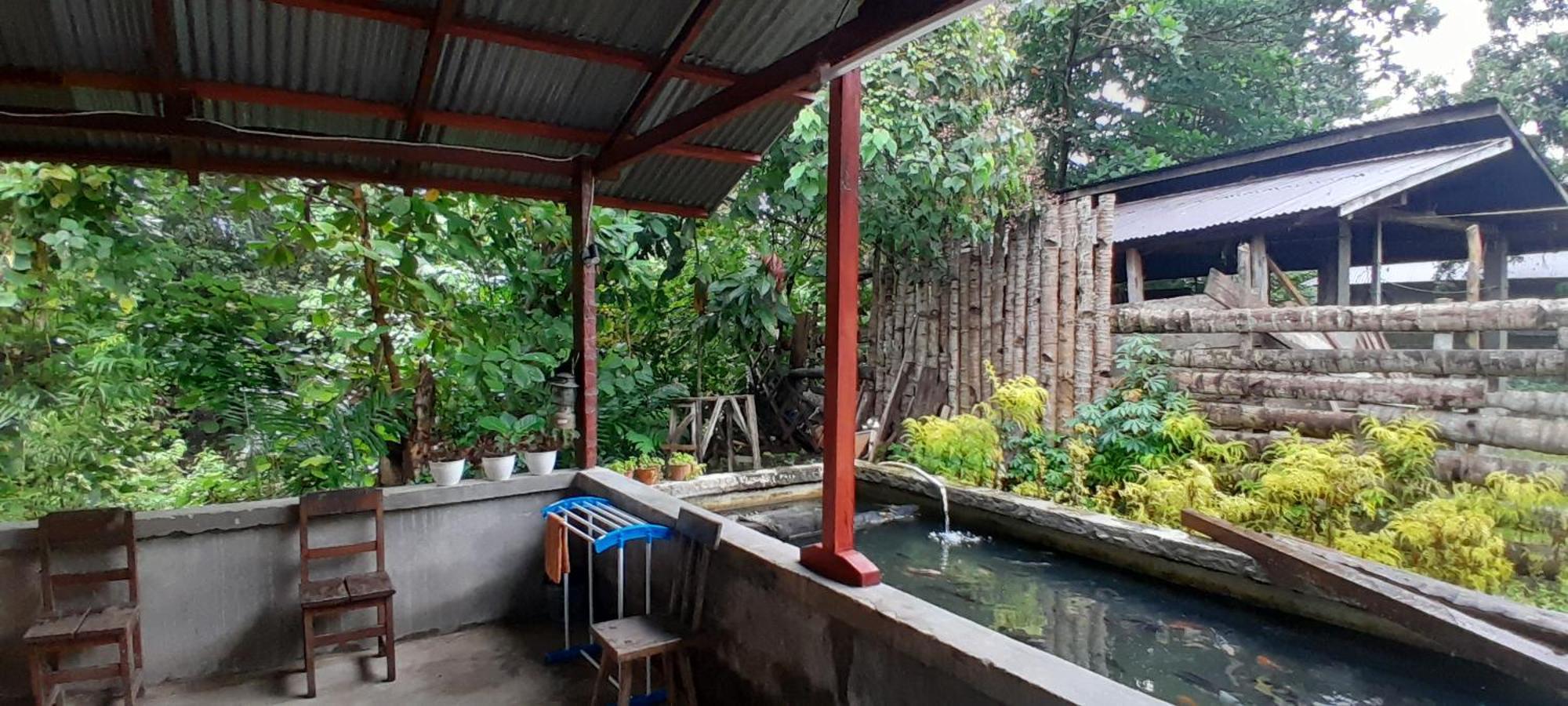 Renny'S Tangkoko Safety Stop Bitung Kültér fotó
